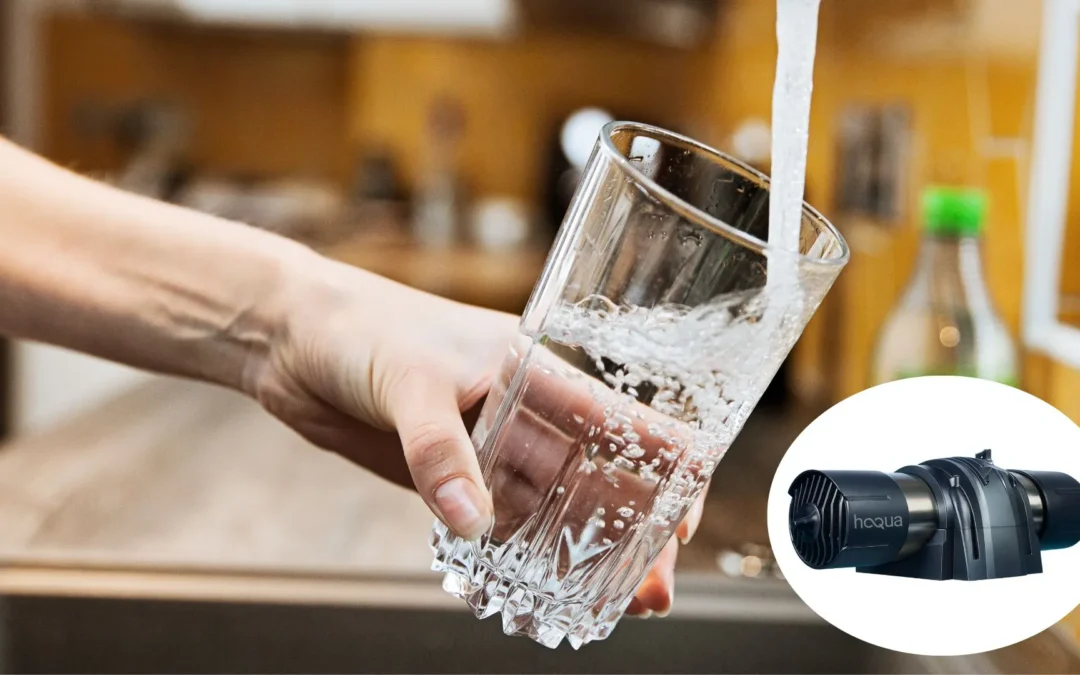 PFAS en Wallonie : comprendre la pollution de l’eau et les solutions pour les particuliers